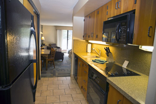 Conversion A photos-Timeshare-Iron Blosam