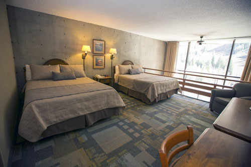 Suite photos- Iron Blosam